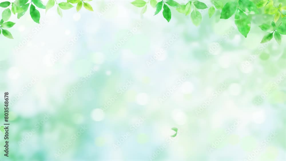 Leaves fall in the sunshine. green bokeh background.(100) Leaves fall in the sunshine. green bokeh background.(100)