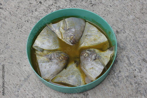 Sliced Bawal fish, or Colossoma macropum, is seasoned before frying. photo