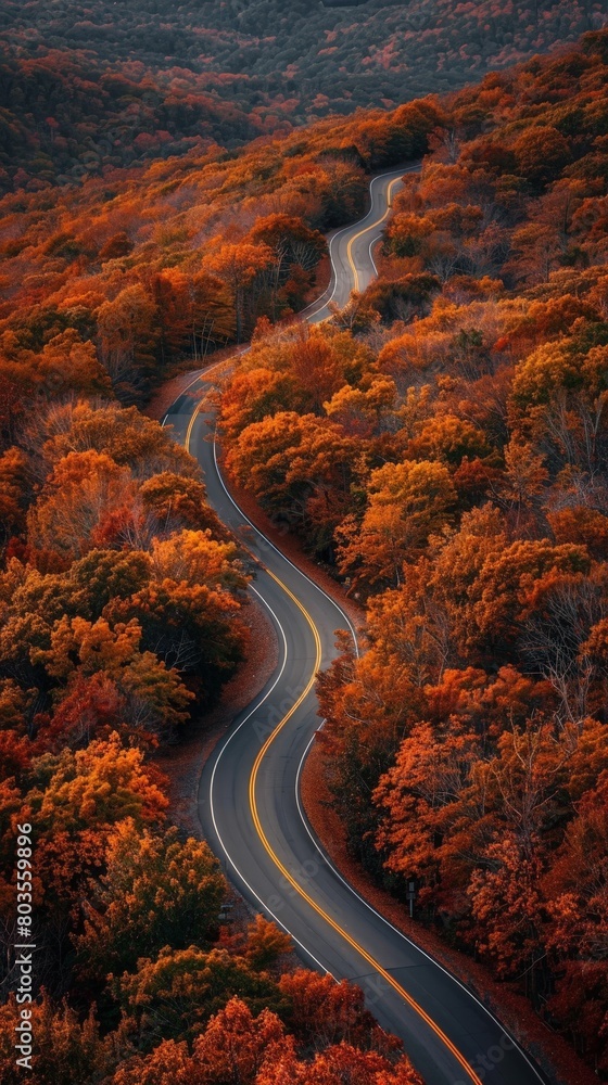road as it cuts through a forest of trees with vibrant autumn colors