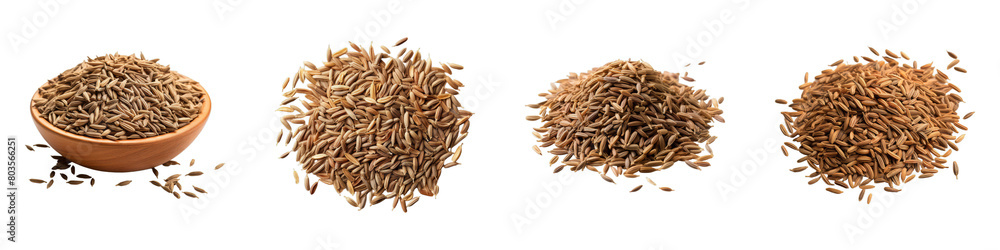 Collection of Caraway Seeds isolated on transparent png background. Generative ai Collection of Caraway Seeds isolated on transparent png background. Generative ai