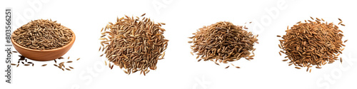 Collection of Caraway Seeds isolated on transparent png background. Generative ai