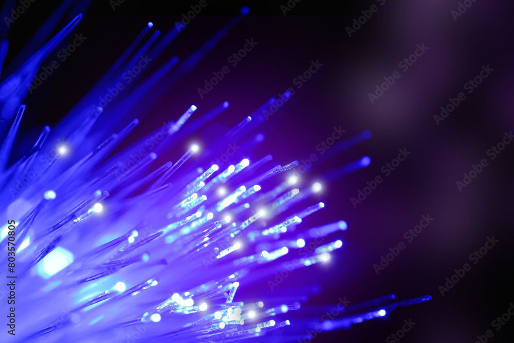 Fotografie Optical fiber strands transmitting blue light on black background, macro view