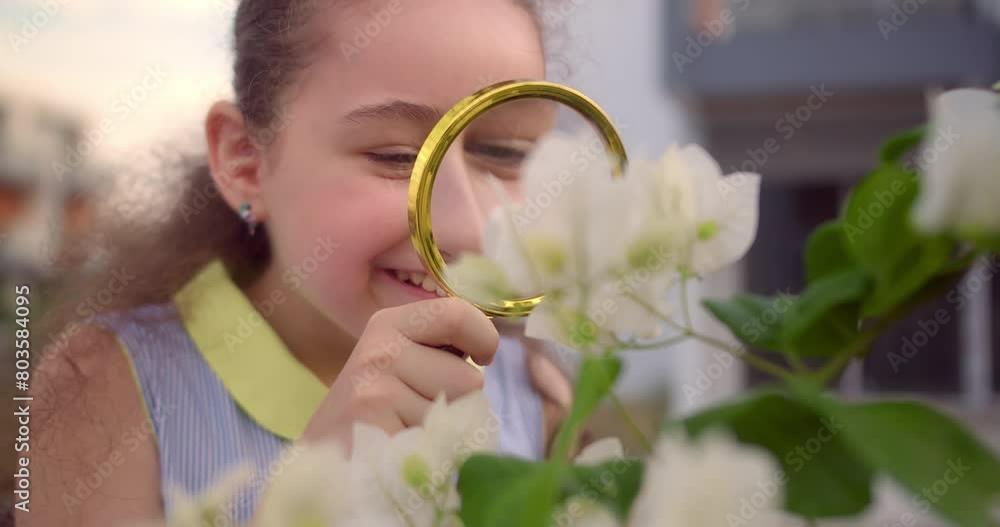 Portrait happy cute smiling child little kid girl with nature plant looks through a magnifying glass. Happy cute kid examines flower with a magnifying glass in park. Travel tourism adventure concept. Portrait happy cute smiling child little kid girl with nature plant looks through a magnifying glass. Happy cute kid examines flower with a magnifying glass in park. Travel tourism adventure concept.
