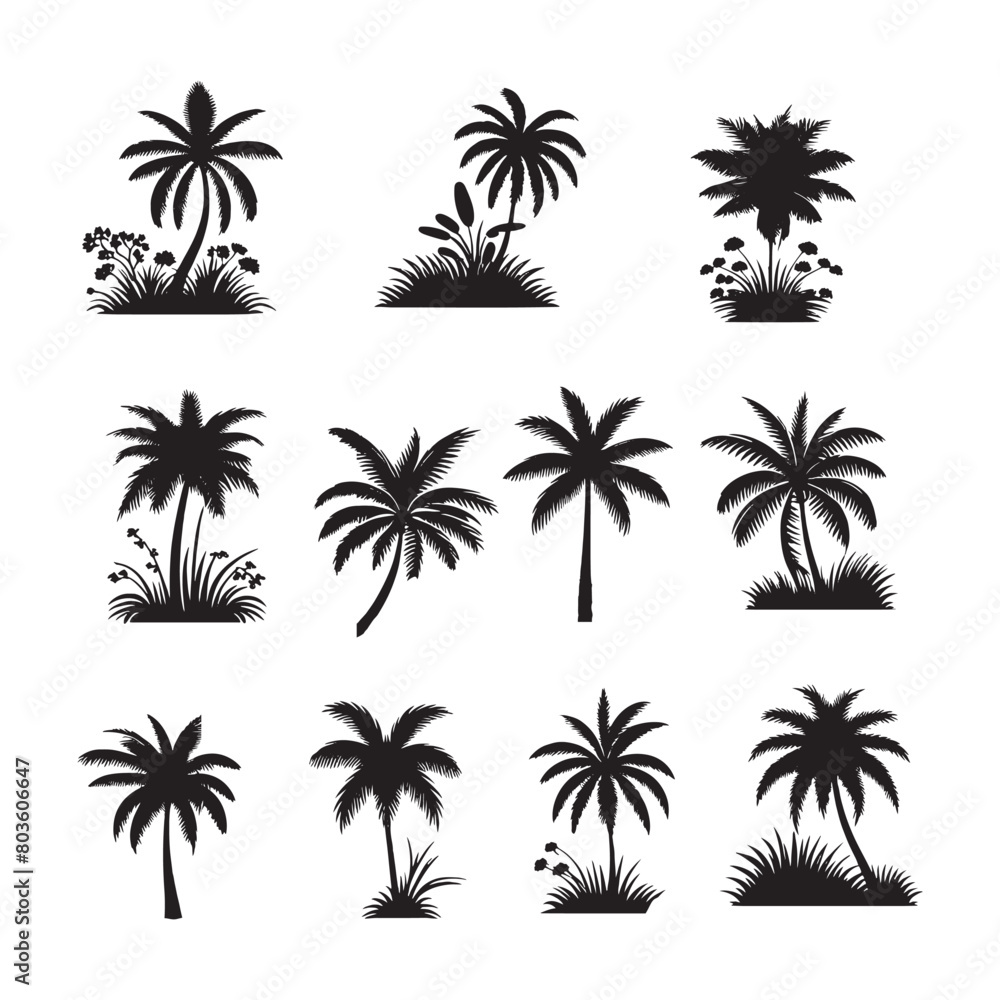 set of palm trees silhouettes on white set of palm trees silhouettes on white