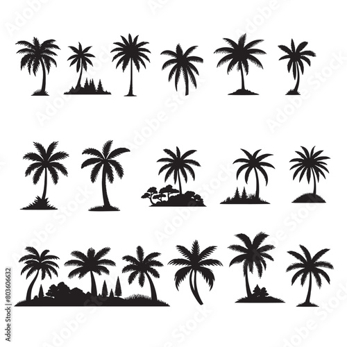 set of palm trees silhouettes on white 