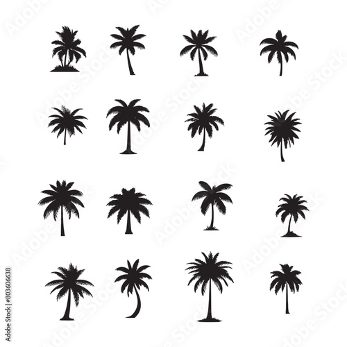 set of palm trees silhouettes on white 