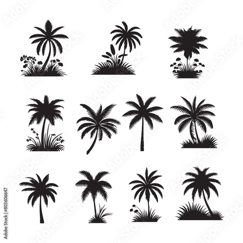 set of palm trees silhouettes on white 