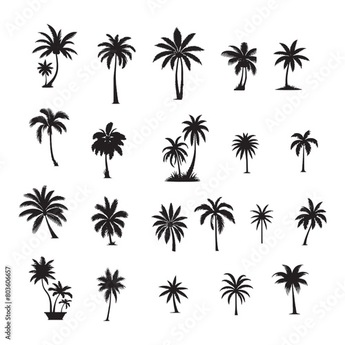 set of palm trees silhouettes on white 