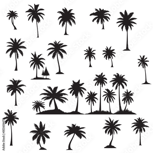 set of palm trees silhouettes on white 