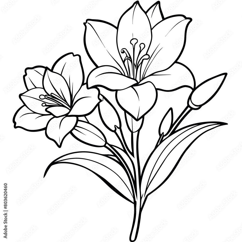 Freesia flower plant outline illustration coloring book page design, Freesia flower plant black and white line art drawing coloring book pages for children and adults
Freesia flower plant outline illustration coloring book page design, Freesia flower plant black and white line art drawing coloring book pages for children and adults