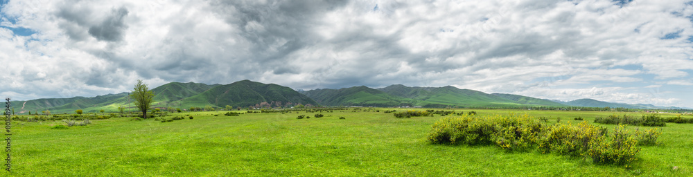Green grass on the field and green mountains, cloudy gray sky.Panoramic natural background.