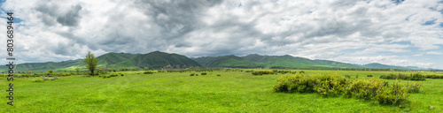 Green grass on the field and green mountains  cloudy gray sky.Panoramic natural background.