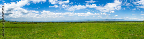 Green grass on the field  blue sky and white clouds. Panoramic natural background.