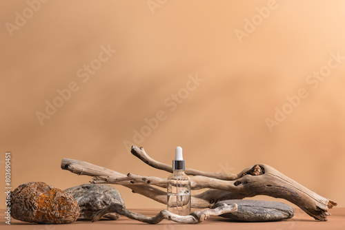 Glass bottle with a pipette with cosmetic essence or serum on a podium among dry branches and stones. Ecological presentation of organic cosmetics.