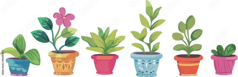 Obraz premium Colorful Indoor Plant Collection