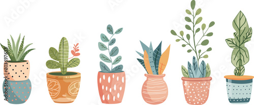 Colorful Indoor Plant Collection