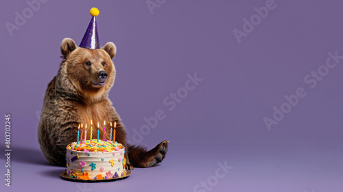 Wallpaper Mural Birthday bear with birthday hat and cake isolated on purple background
 Torontodigital.ca