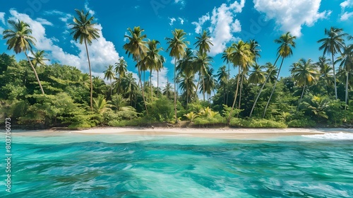 Tropical paradise with crystal waters and lush palms