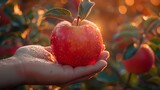 Ripe and Radiant: A Gentle Touch in the Orchard
