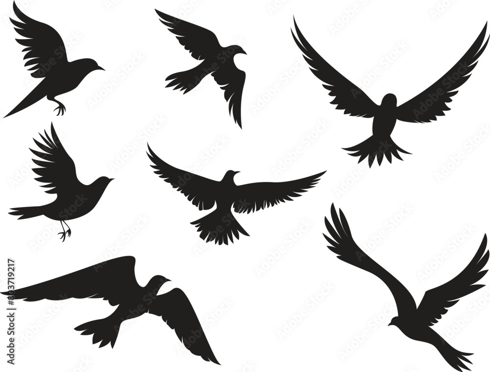 Fototapeta premium flying bird silhouette on transparent background, vector design
