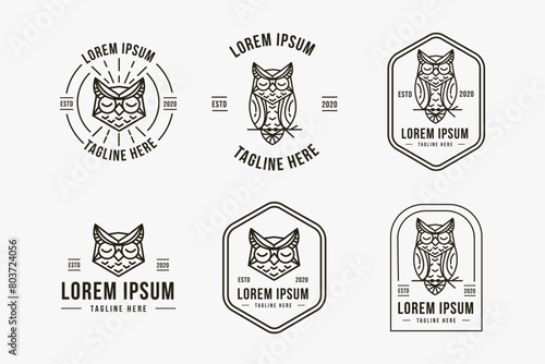 Set of cool owl logo icon vector with line art logo style photo