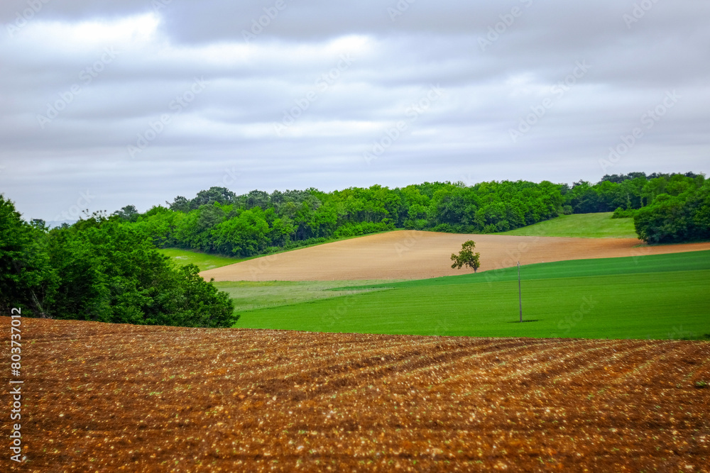 Cultivated farm land with gentle hills in Charente Maritime, France