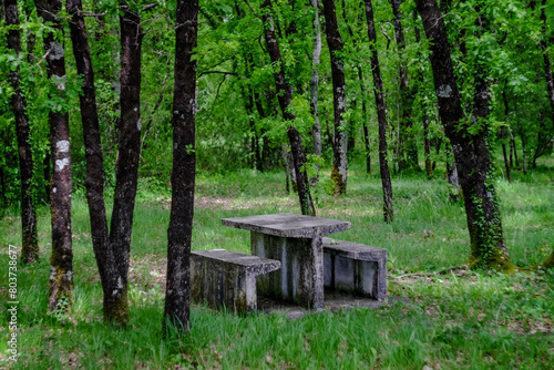Concrete picnic table in woodland, Charente Maritime, France