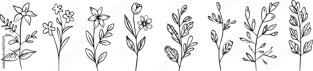 set of floral ornament vector elements in the style of a simple vector style set of floral ornament vector elements in the style of a simple vector style