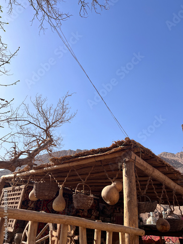 ancient treea  in village at  Xinjiang desert in China photo