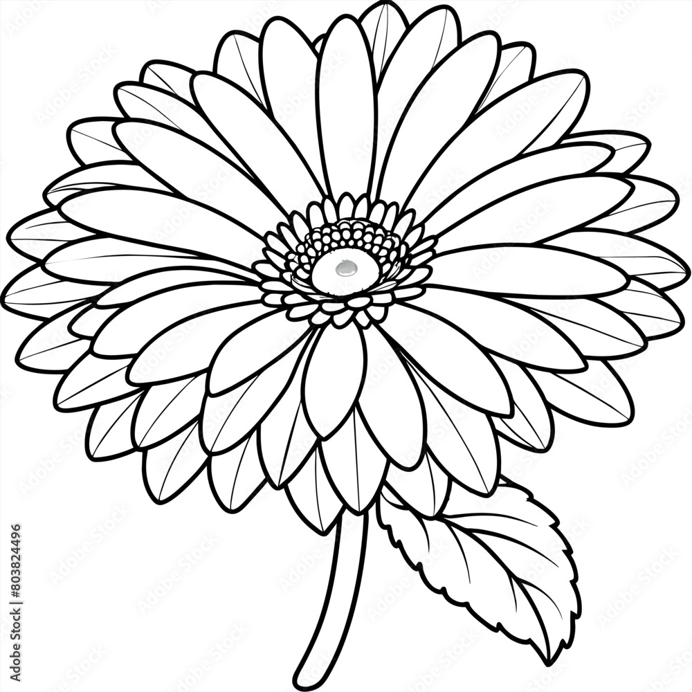 Gerbera flower plant outline illustration coloring book page design, Gerbera flower plant black and white line art drawing coloring book pages for children and adults