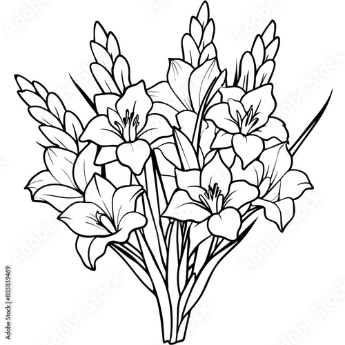 Gladiolus Flower Bouquet outline illustration coloring book page design, Gladiolus Flower Bouquet black and white line art drawing coloring book pages for children and adults 