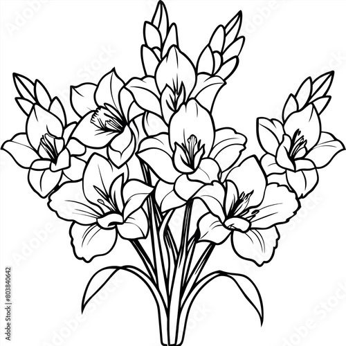 Gladiolus Flower Bouquet outline illustration coloring book page design, Gladiolus Flower Bouquet black and white line art drawing coloring book pages for children and adults 