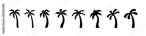 Palm icons. Different palm silhouette