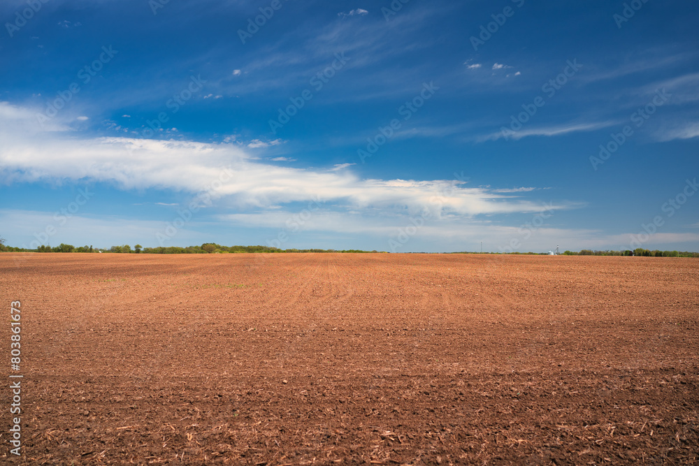 A vast, freshly plowed agricultural field under a vivid blue sky dotted with fluffy white clouds. A vast, freshly plowed agricultural field under a vivid blue sky dotted with fluffy white clouds.