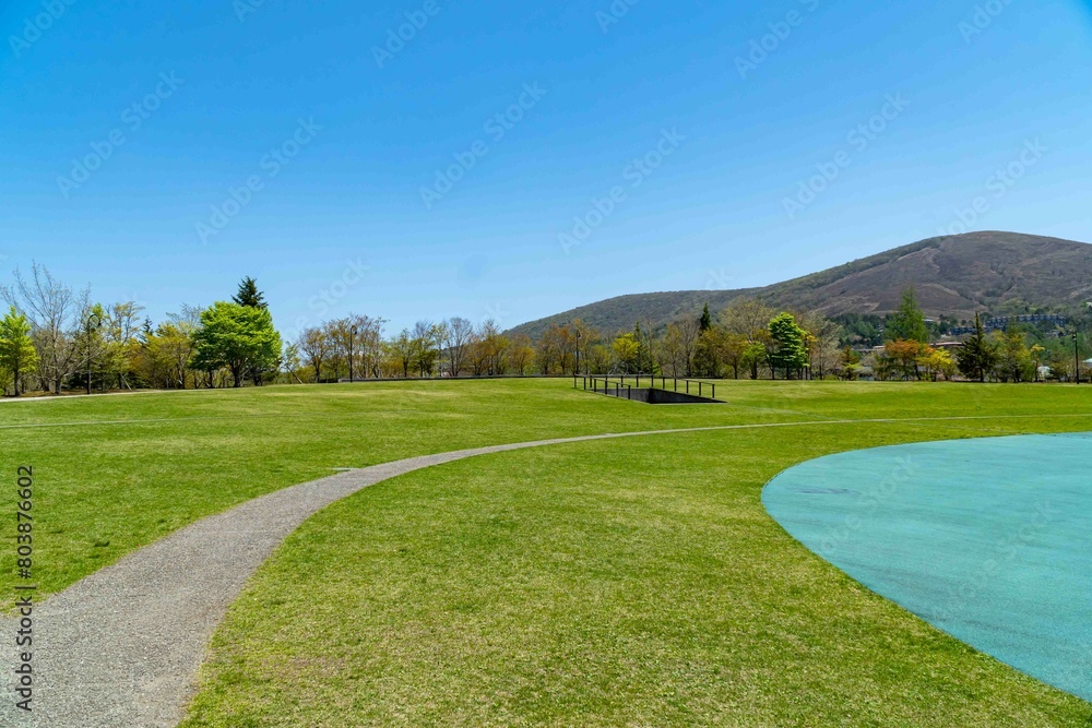 Green wide open ground for picnic
