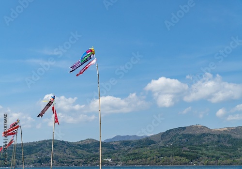 The koi fish flag during the golden week in Japan.