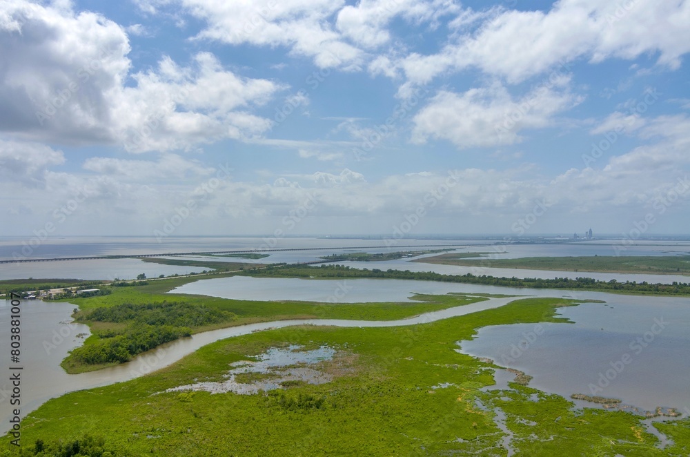 Aerial view of the Mobile Bay Delta