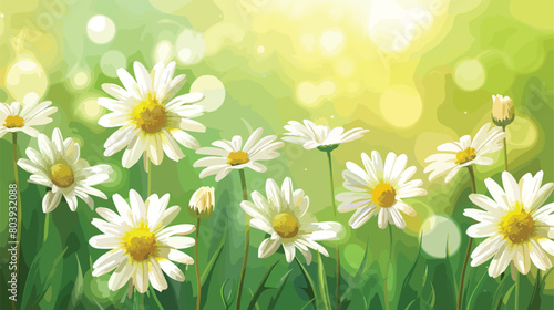 Fresh chamomile flowers on green background style