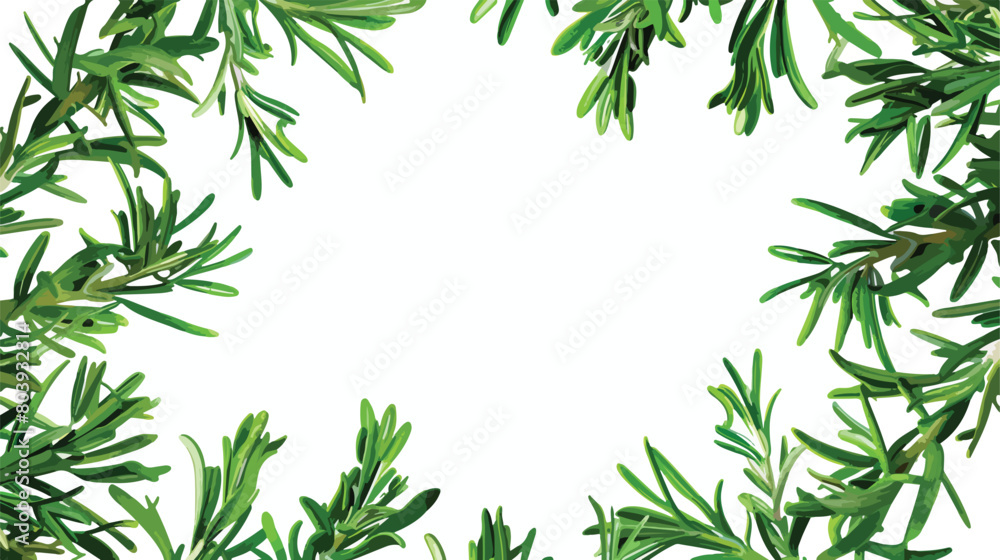 Fresh green rosemary on white background style