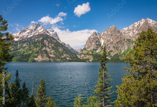 Принти на полотні Jenny Lake at Grand Tetons National Park in the U