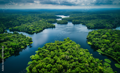 Aerial view of Amazon rainforest in Brazil, South America. Green forest. Bird's-eye view