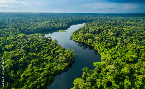 Aerial view of Amazon rainforest in Brazil, South America. Green forest. Bird's-eye view © Curioso.Photography