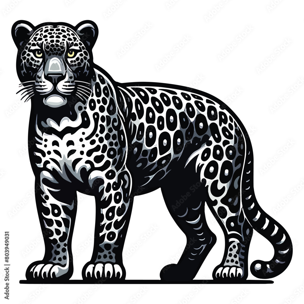 Leopard, Mountain Lion, Animal Head, Jaguar - Cat, Lion - Feline Leopard, Mountain Lion, Animal Head, Jaguar - Cat, Lion - Feline