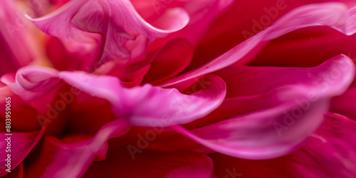 A close up of a flower with a pink hue