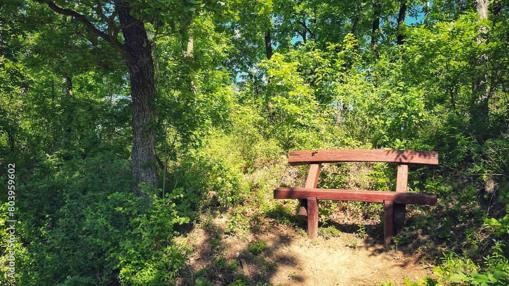 Forest and hiking trails of the Somogyi hills, valley bridge, Balaton, Hungary Forest and hiking trails of the Somogyi hills, valley bridge, Balaton, Hungary