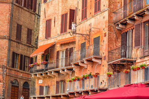 Siena, medieval town in Tuscany, with view of the Dome & Bell Tower of Siena Cathedral, Mangia Tower and Basilica of San Domenico, Italy