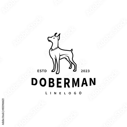 Standing doberman dog logo design illustration 4