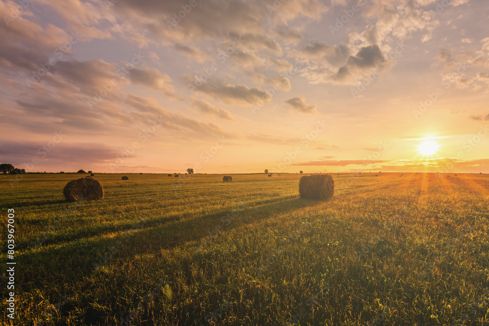 A field with haystacks on a summer or early autumn evening with a cloudy sky. Procurement of animal feed in agriculture. Rural landscape at sunset or sunrise.