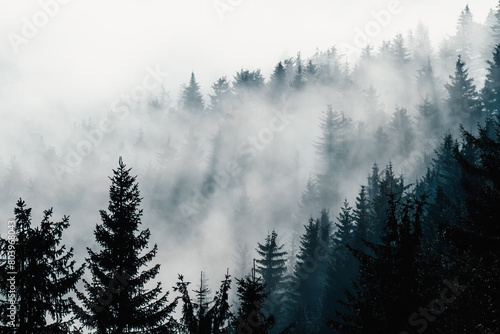 Misty landscape with fir forest. alpine landscape with snowy trees. Adventure winter sport. Low Tatras, slovakia © alexanderuhrin