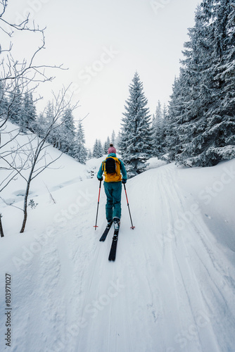 Mountaineer backcountry ski walking ski alpinist in the mountains. Ski touring in alpine landscape with snowy trees. Adventure winter sport. Low Tatras, slovakia